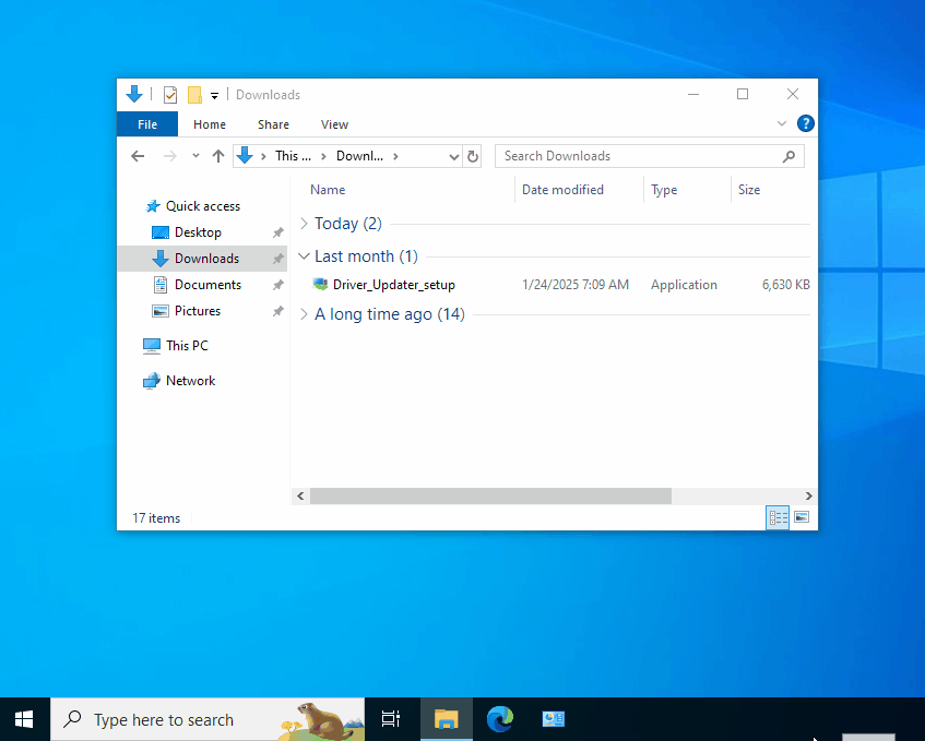 driver updater install.gif